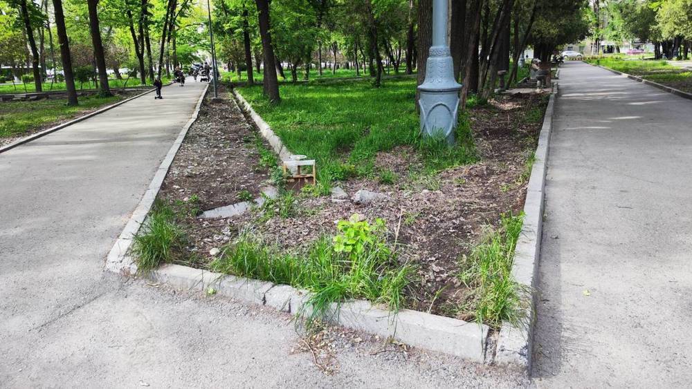 В «Бишкекзеленстрой» рассказали, для чего из сквера Тоголок Молдо убрали живую изгородь