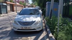 «Хендай» припарковали перед «зеброй». Фото