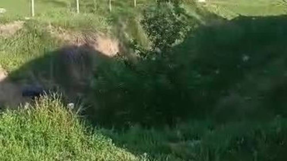В Кой-Таше в овраге образовалась свалка мусора. Видео
