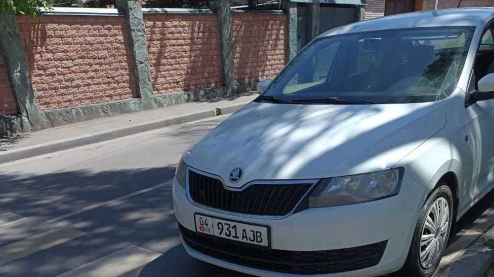 «Шкоду» припарковали на «зебре» на Дзержинского. Фото