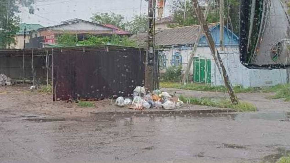 Возле столба на Жибек Жолу организовали стихийную свалку. Фото