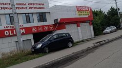Водитель припарковался на газоне на Жибек Жолу. Фото