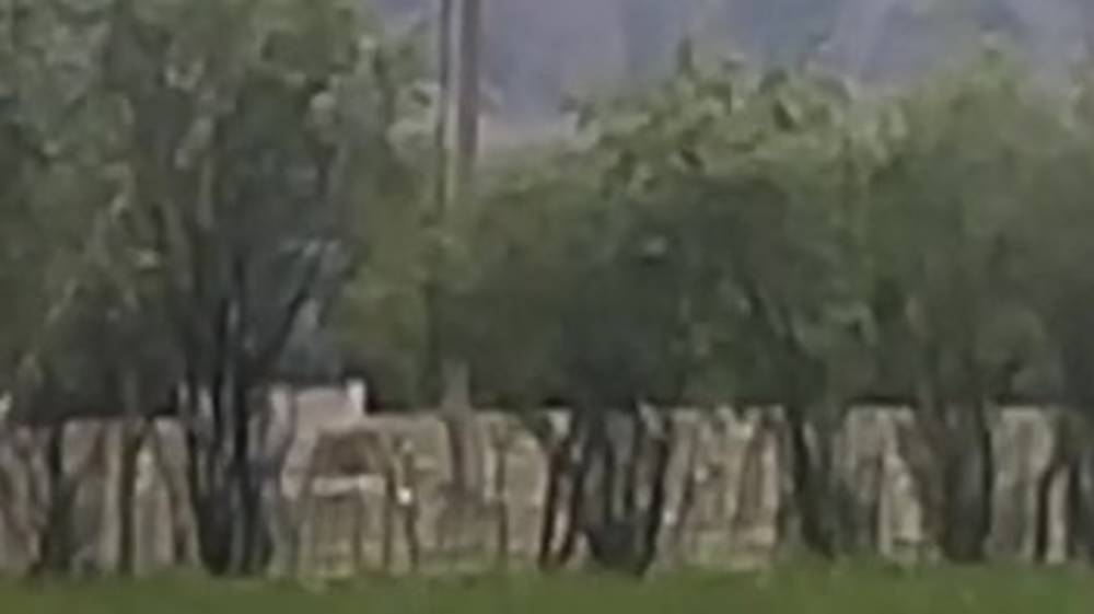В Кочкорком районе искрит трансформатор. Видео жительницы