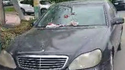 «Мерседес S500», припаркованный возле мусорной площадки, закидали мусором. Видео