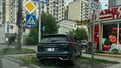 «ХАНская парковка». Кроссовер «Джили Монджаро» оставили на газоне. Фото