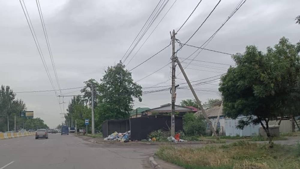 Мусор на Жибек Жолу—Пархоменко был вывезен на следующий день, - мэрия
