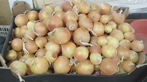 минсельхоз