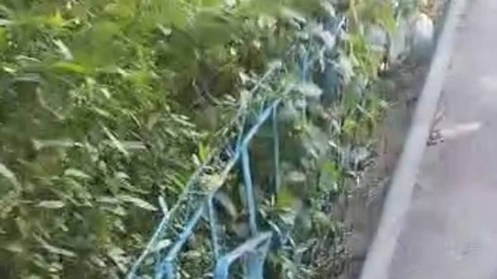 Горожанин просит оштрафовать руководство СИЗО-1 за мусор на прилегающей территории. Видео