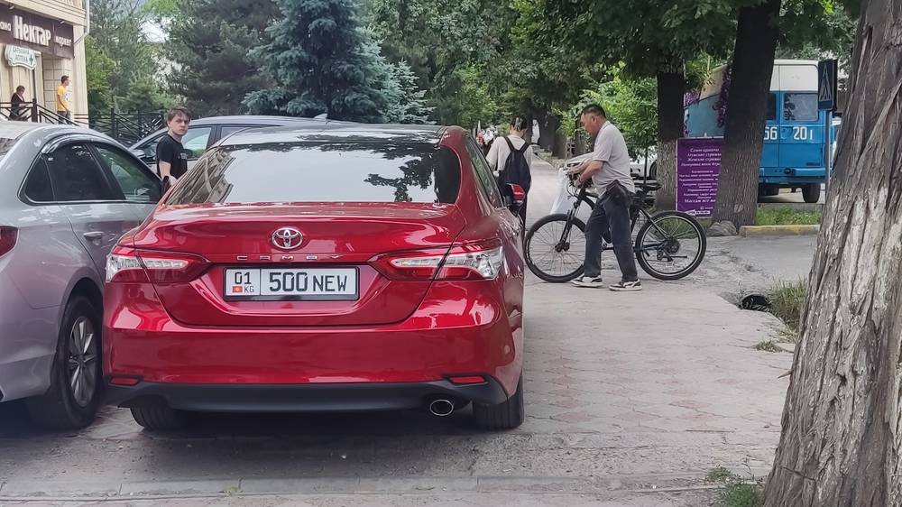 «Камри» припарковали на аллее по Турусбекова. Фото