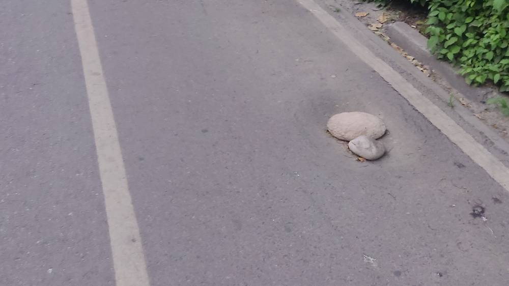 Яма на велодорожке на Моссовета. Фото