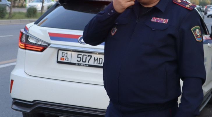 Иллюстрациялык сүрөт