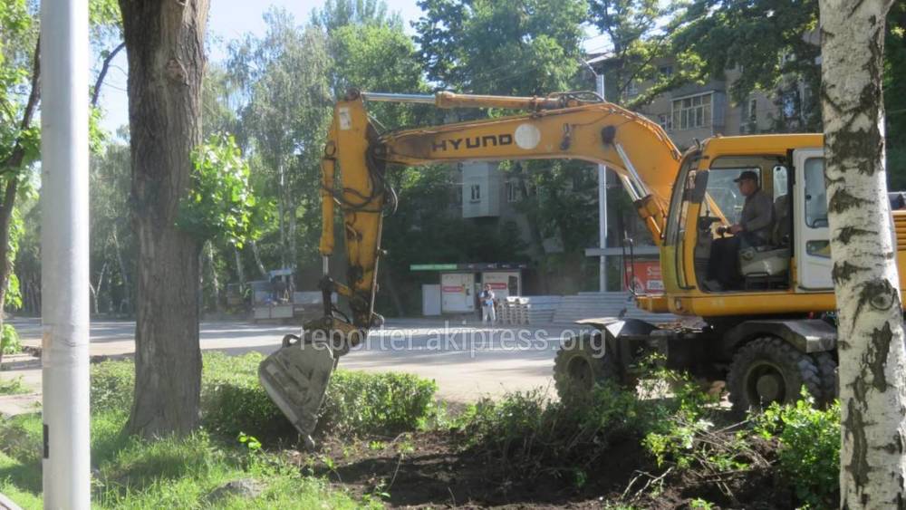 В мэрии рассказали, зачем во время ремонта по Советской уничтожают газон