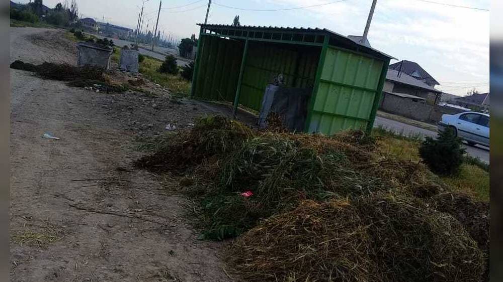 В Арча-Бешике мусорные контейнеры не стоят под навесом, 2 контейнера в непригодном состоянии, - горожанин