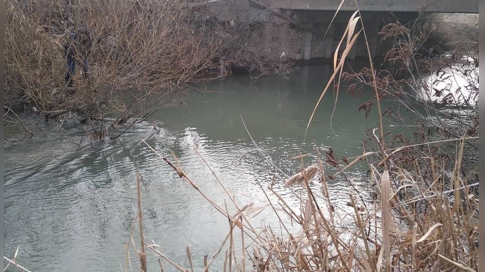 Иллюстрациялык сүрөт