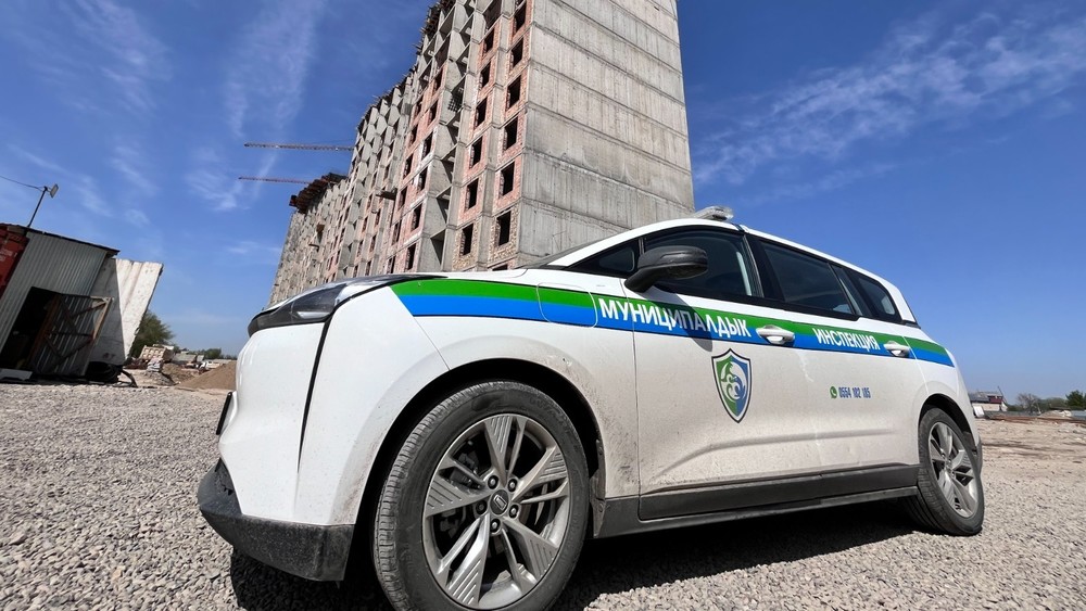 Иллюстрациялык сүрөт