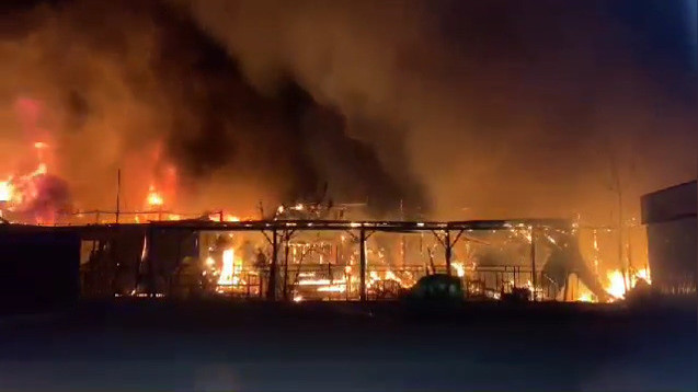 Иллюстрациялык сүрөт