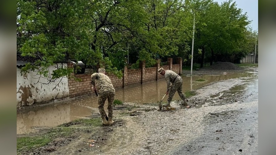 Иллюстрациялык рөт