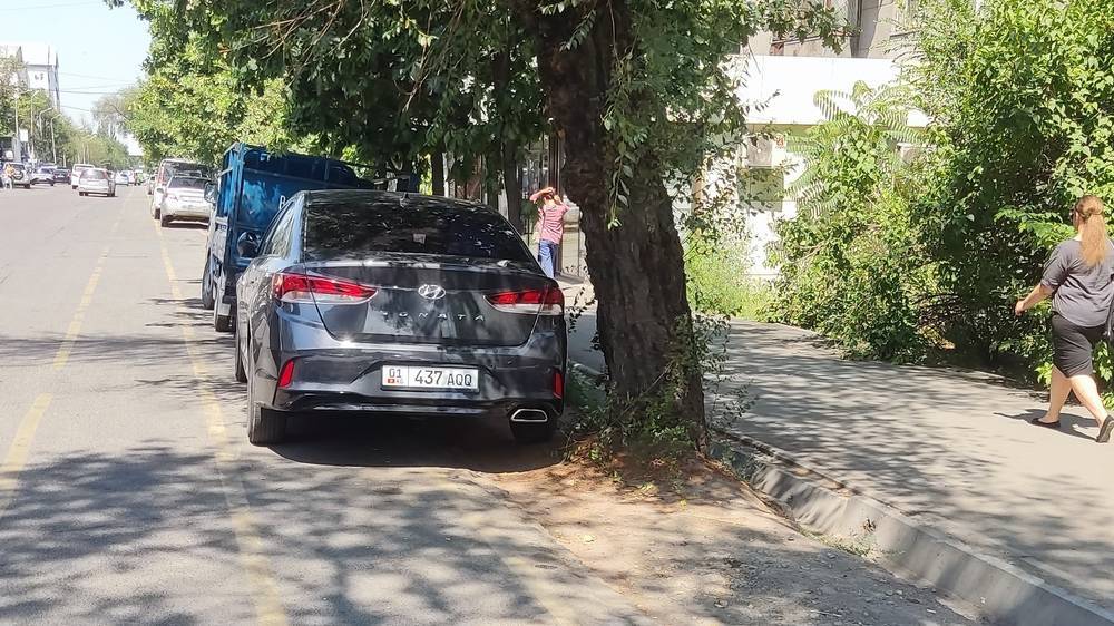 Парковка на велодорожке и зеленой зоне на Токтогула: Водители убрали свои авто после беседы. Фото