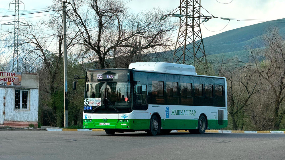 Иллюстрациялык сүрөт