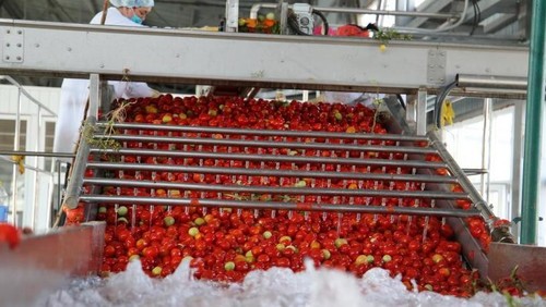 компании-переработчики