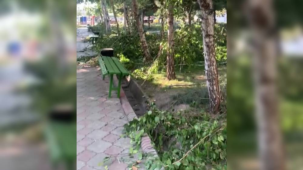 В сквере города Ош обрезают деревья, - горожанка. Видео