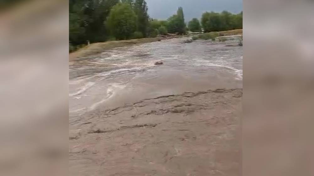 В Тюпском районе сошли сели. Видео местного жителя