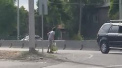 Житель Сокулука просит установить светофор на ул.Кайназаровой. Видео