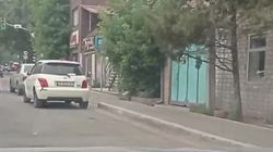 Одна полоса дорогу по Ташкентской занята припаркованными машинами. Видео горожанина
