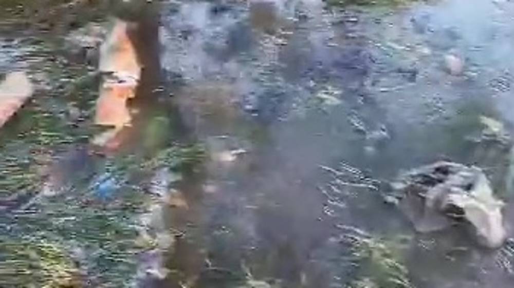 Сквер на Ибраимова полили, вместе с водой приплыл и мусор. Видео