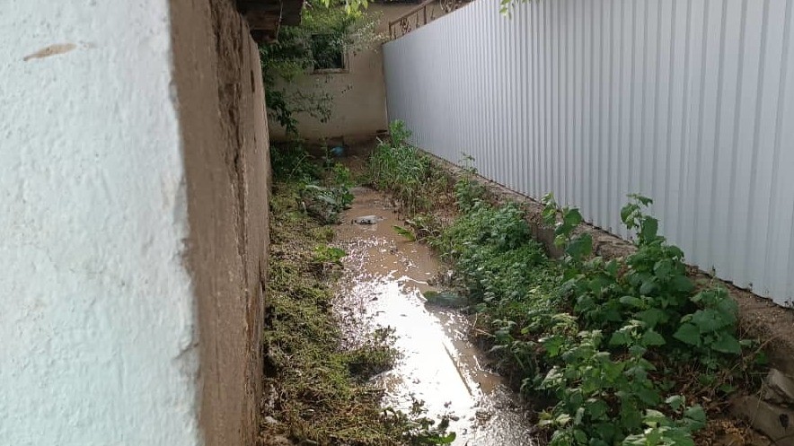 Иллюстрациялык сүрөт