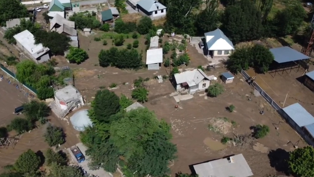 Иллюстрациялык сүрөт