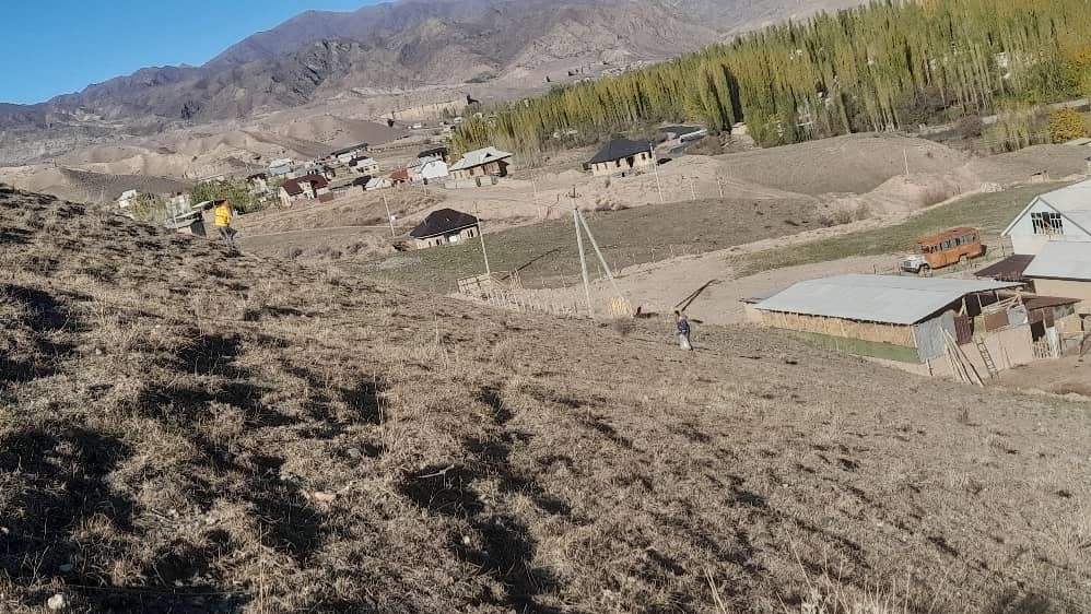 иллюстративное фото