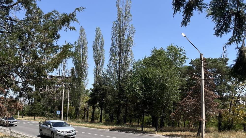 В «Бишкексвете» рассказали, почему на Советской днем горят фонари