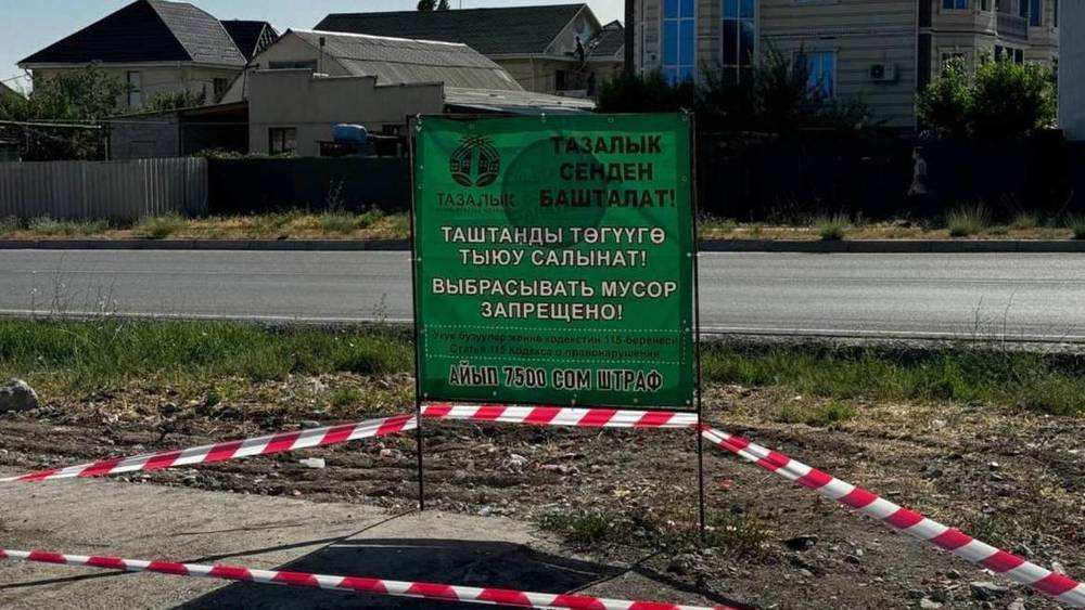 Горожане закидали мусором участок, на котором стоит табличка «Мусор не бросать». Фото
