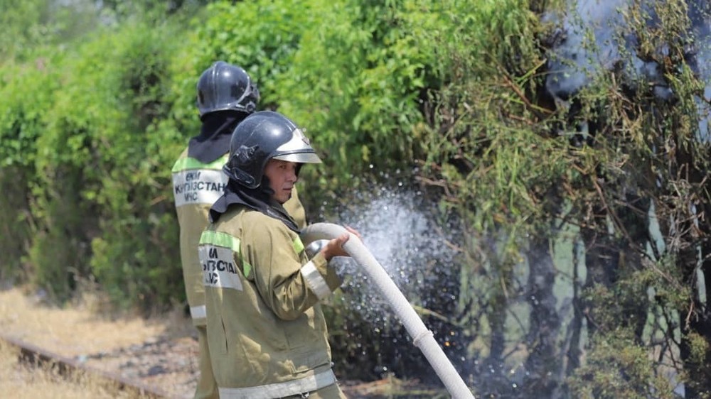 Иллюстративное фото