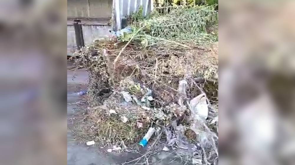«Тазалык» уже месяц не убирает кучу мусора на Водопроводная—Сухомлинова, - горожанин