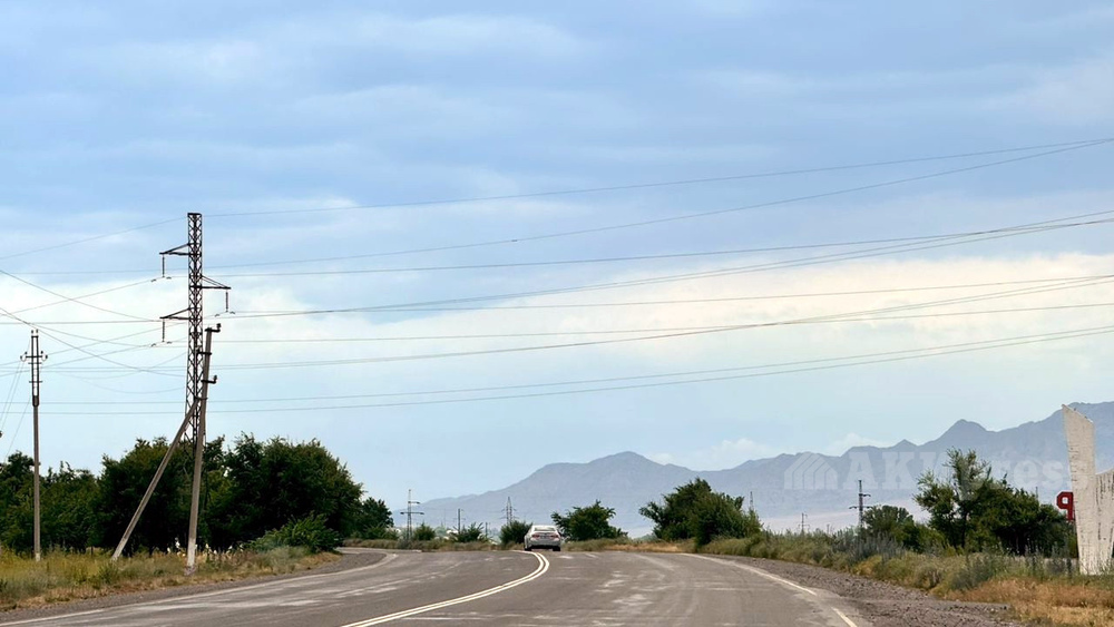 Иллюстрациялык сүрөт