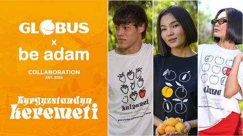 коллекция одежды