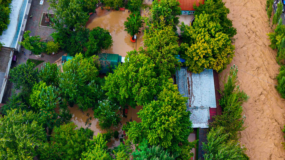 Автор / Исхак Туратбеков