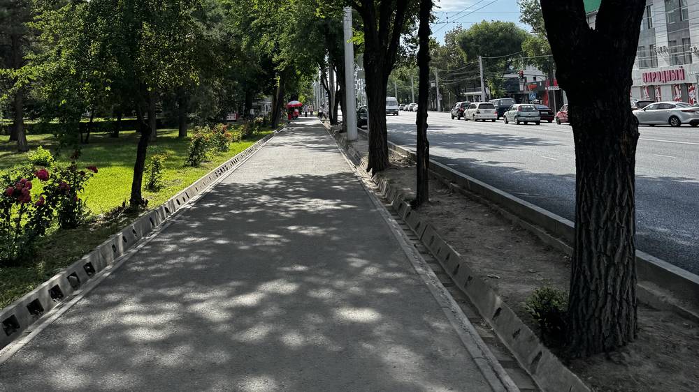 Горожанин просит озеленить участок между дорогой и тротуаром на Ахунбаева. Фото