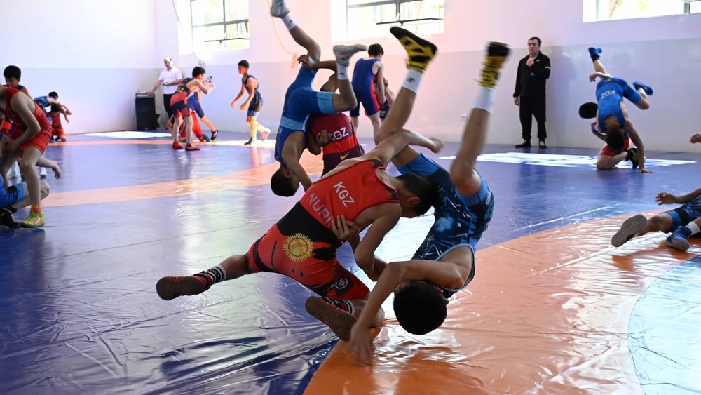 Иллюстрациялык сүрөт