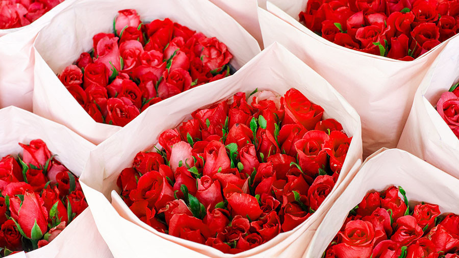 Иллюстрациялык сүрөт