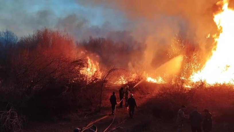 иллюстрациялык сүрөт