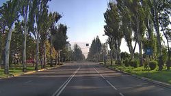 Дети перебегают дорогу по Айтматова на красный. Видео