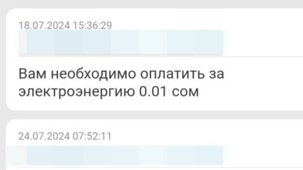 Бишкекчанина уведомили о задолженности за электричество в размере одного тыйына