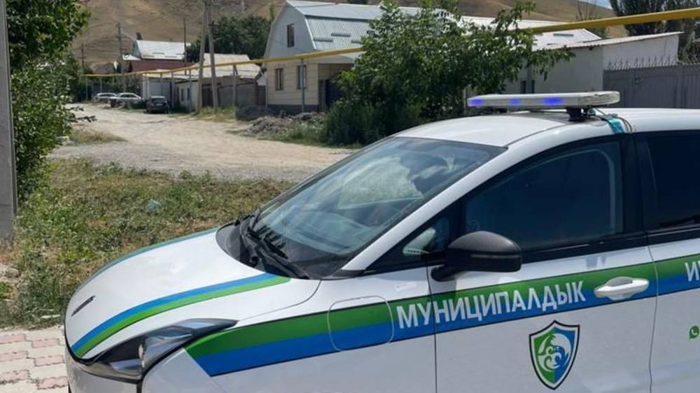 В жилмассиве Ала-Арча сжигали сухотравие. Мэрия не нашла нарушителей