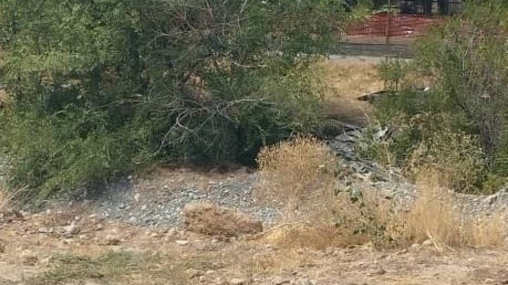 На Осмонкула-Фрунзе в русло реки Аламедин выбросили шифер, - горожанин