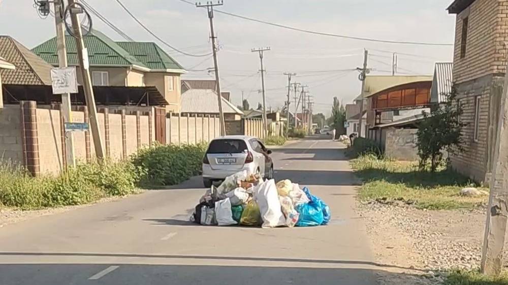 Жители жилмассива ВОССТ оставляют мусор прямо посреди дороги. Видео