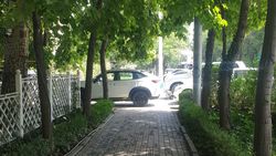Водитель Haval припарковался на тротуаре на Московская—Раззакова. Фото