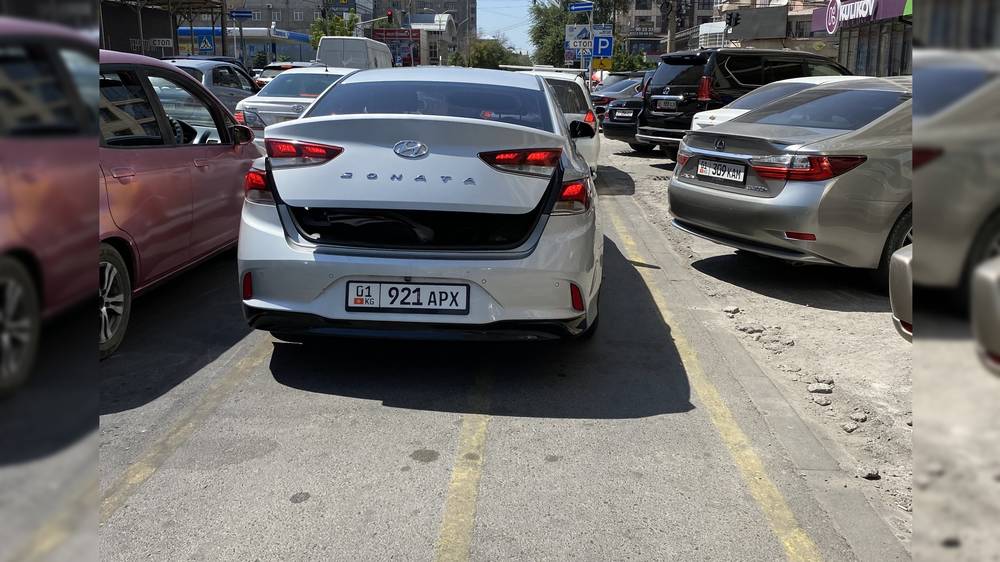 Водитель Hyundai Sonata с 7 неоплаченными штрафами едет по велодорожке. Фото